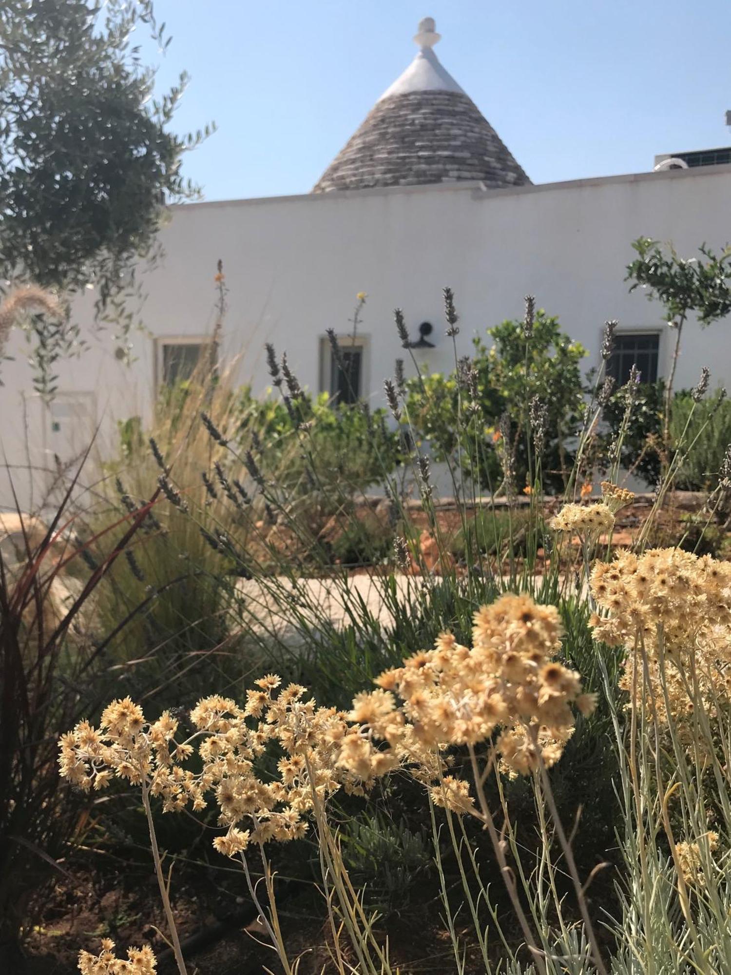 Trullo Falco Selva Di Fasano Zewnętrze zdjęcie